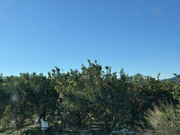 141-30-12-2025 IMG_3325